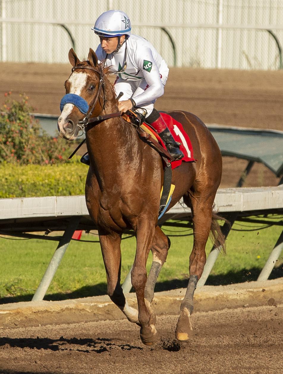 Improbable and Van Dyke after the race